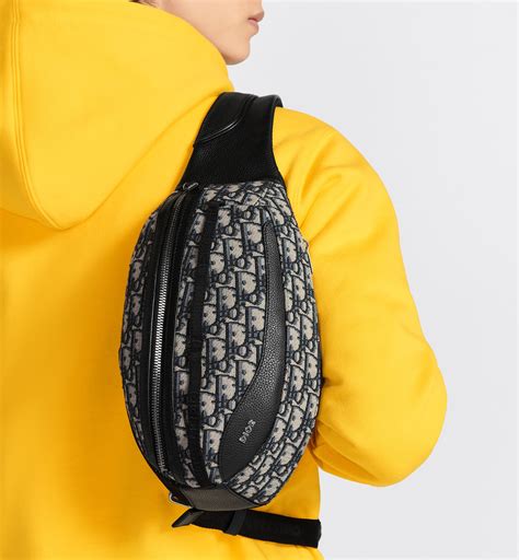dior scarab bag